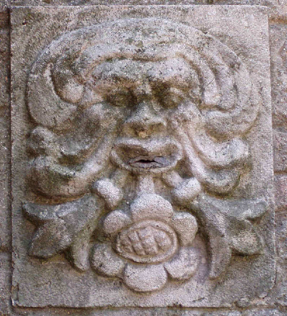 Todi